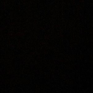 Meet your Posher, Phoebe